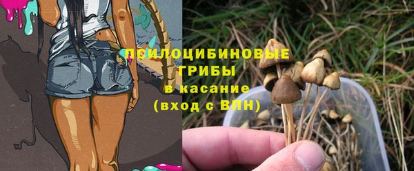 мдма Киреевск