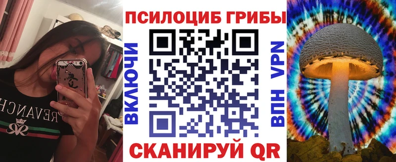 Купить  Петров Вал  Галлюциногенные грибы Psilocybe 